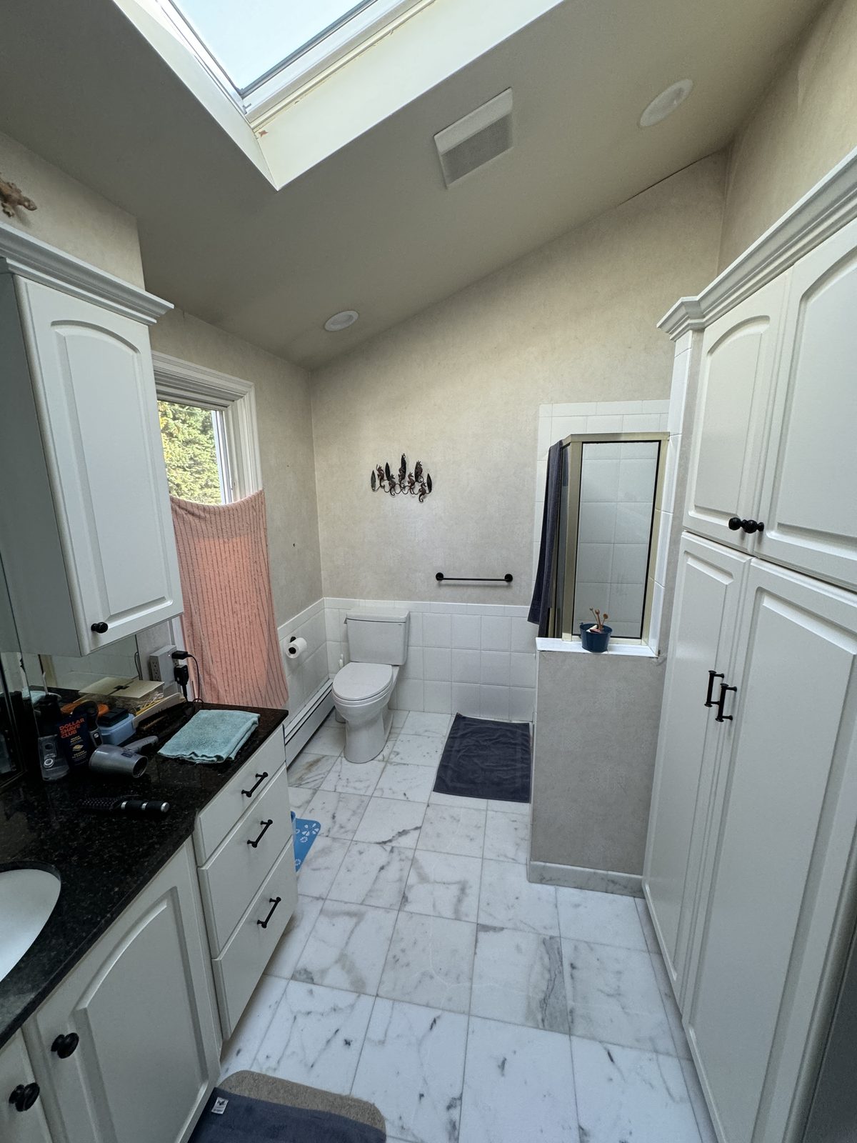 Bathroom before renovation